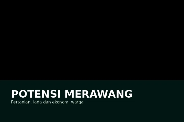 Ilustrasi Pertanian, lada & UMKM Desa Merawang